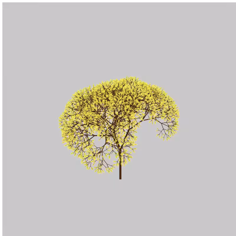 CandyTree #8