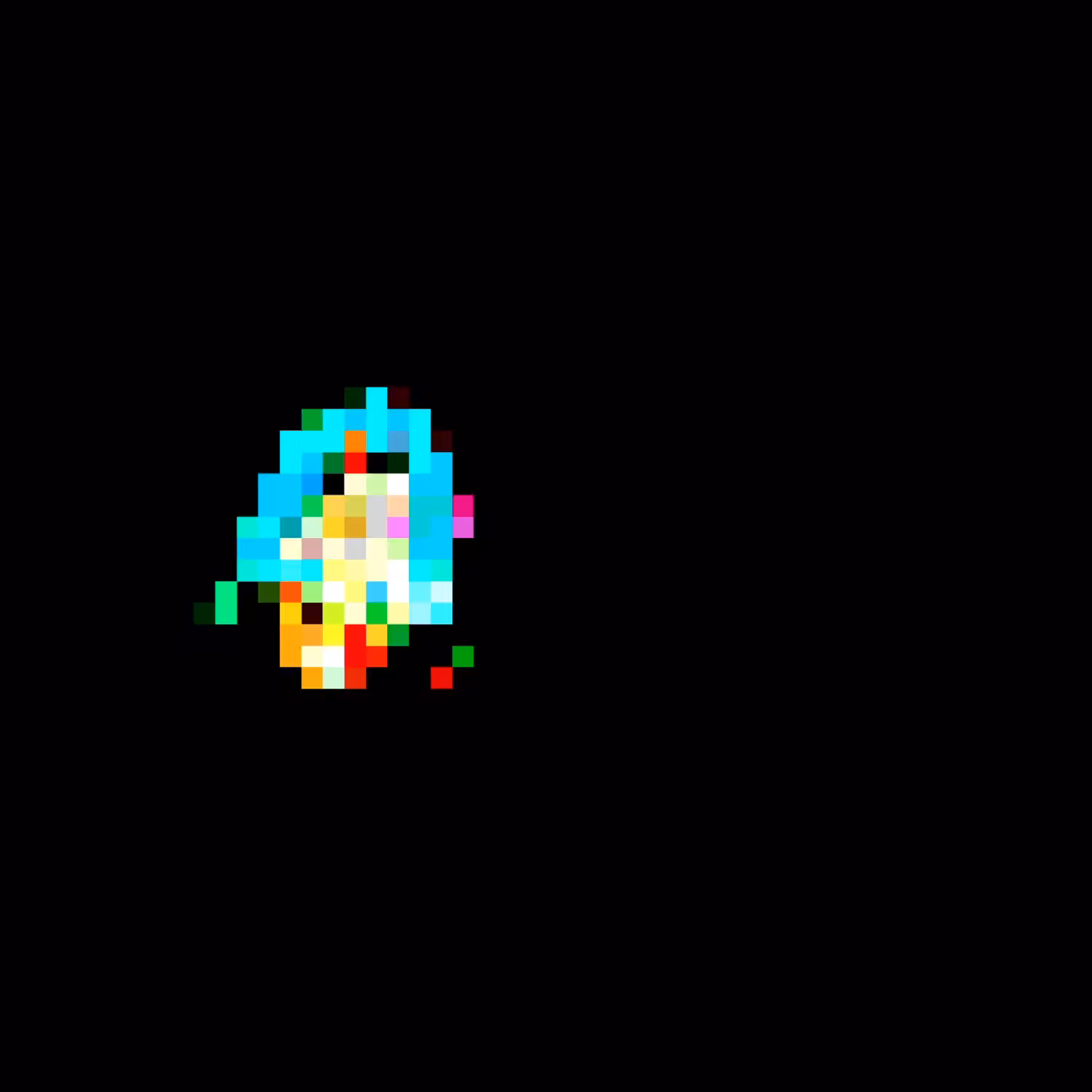 PELIQUEIRO NON FUNGIBLE #2 : PIXEL
