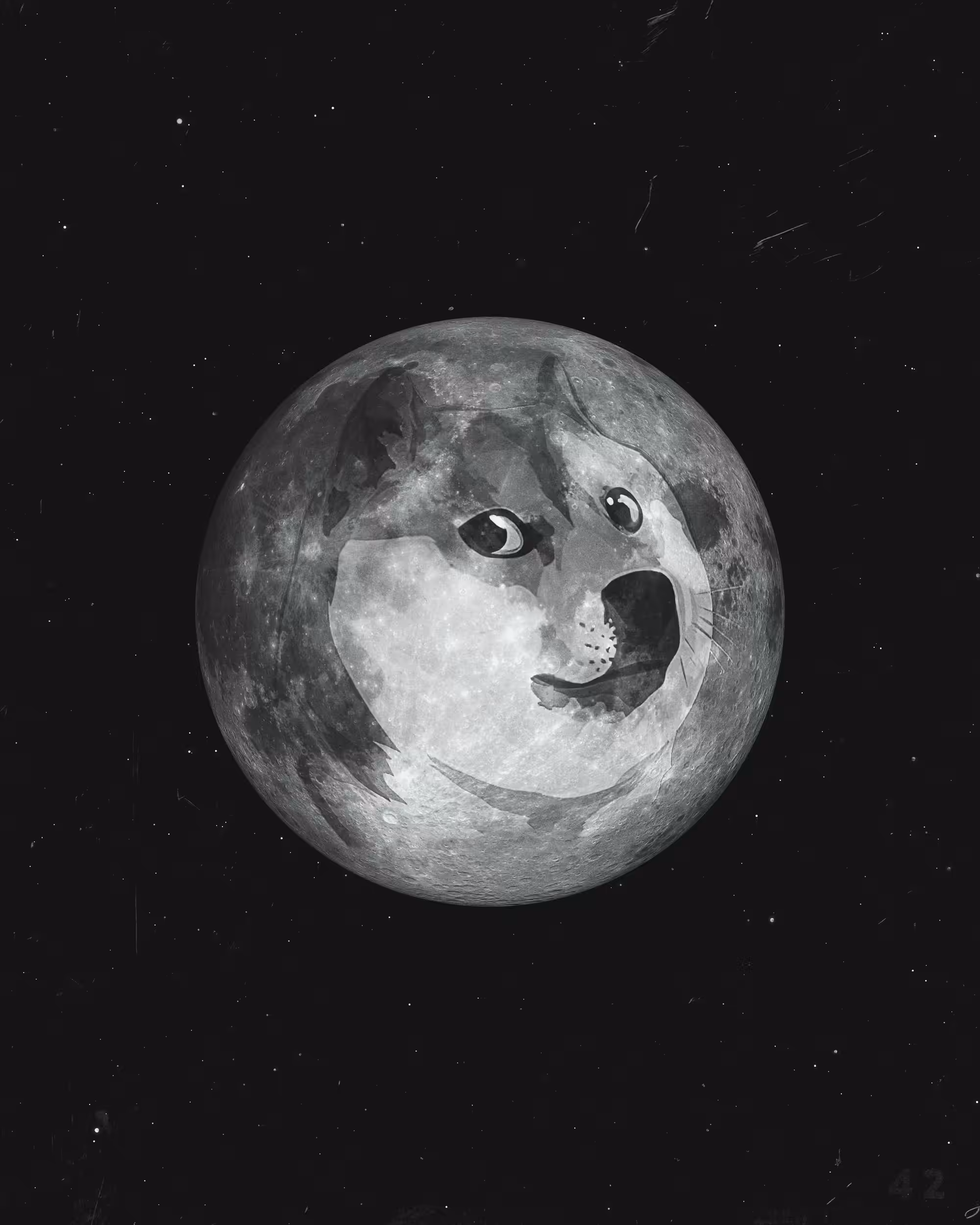 DOGE MOON
