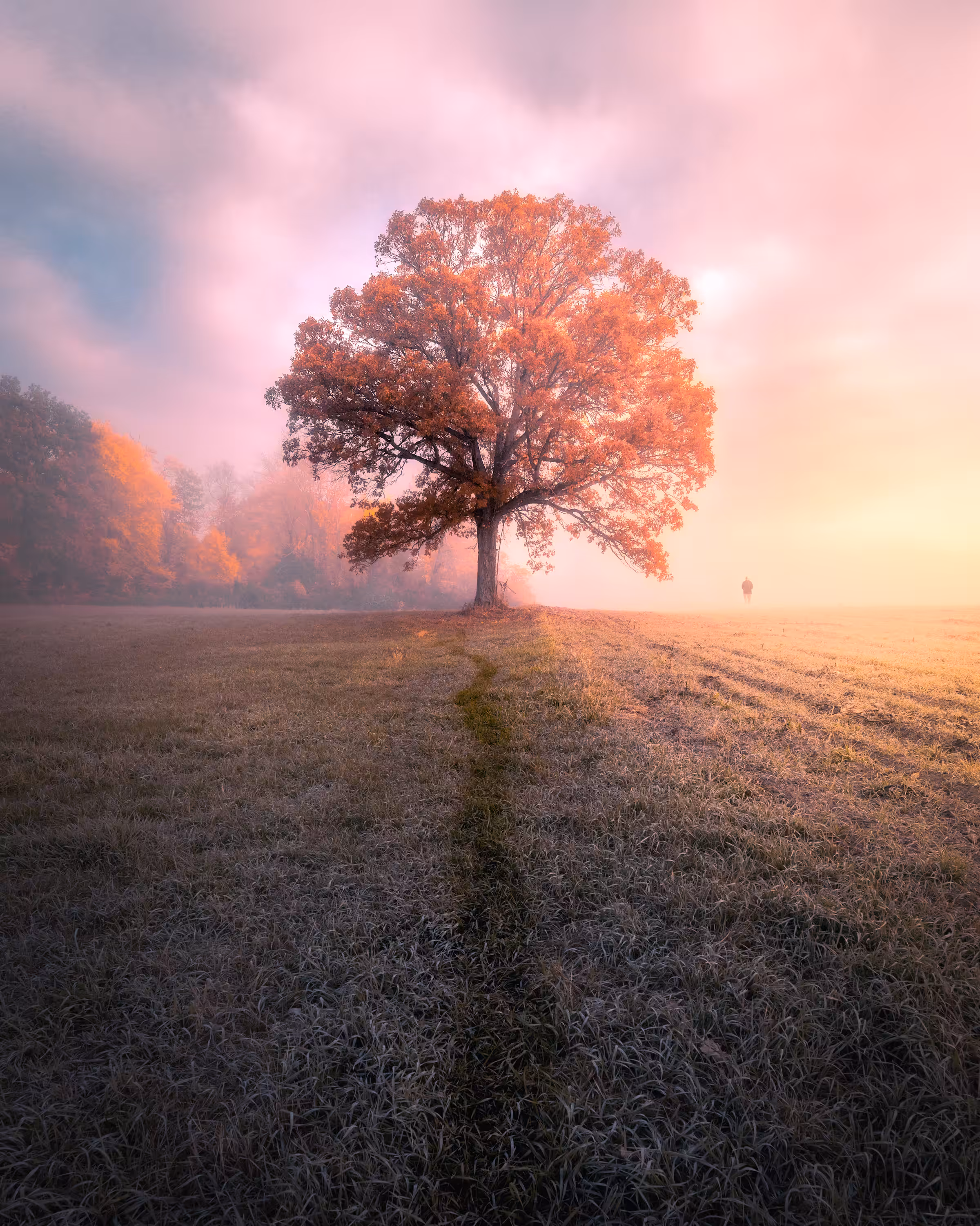 Walking Alone