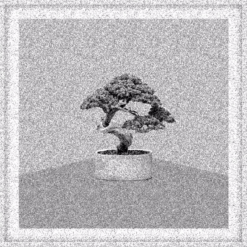Bonsai Bonanza #627