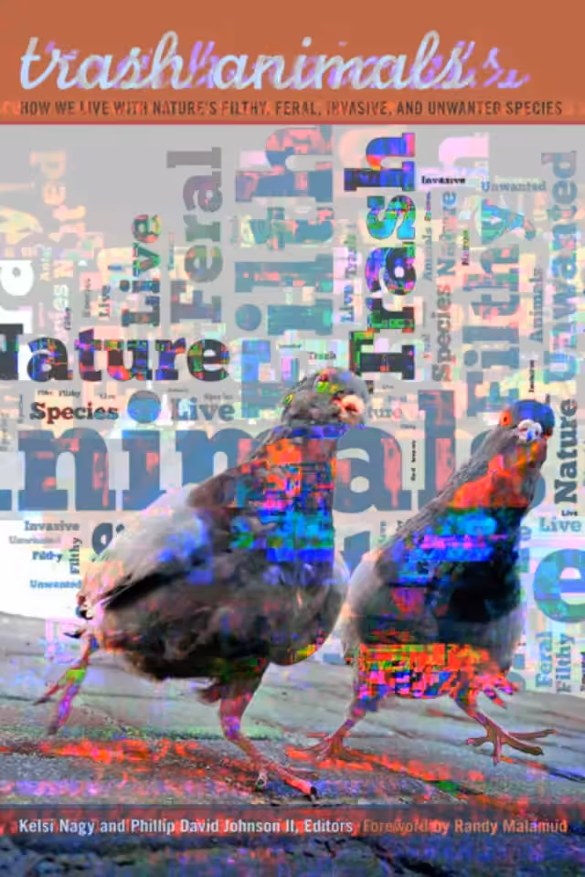 TRASH ANIMALS