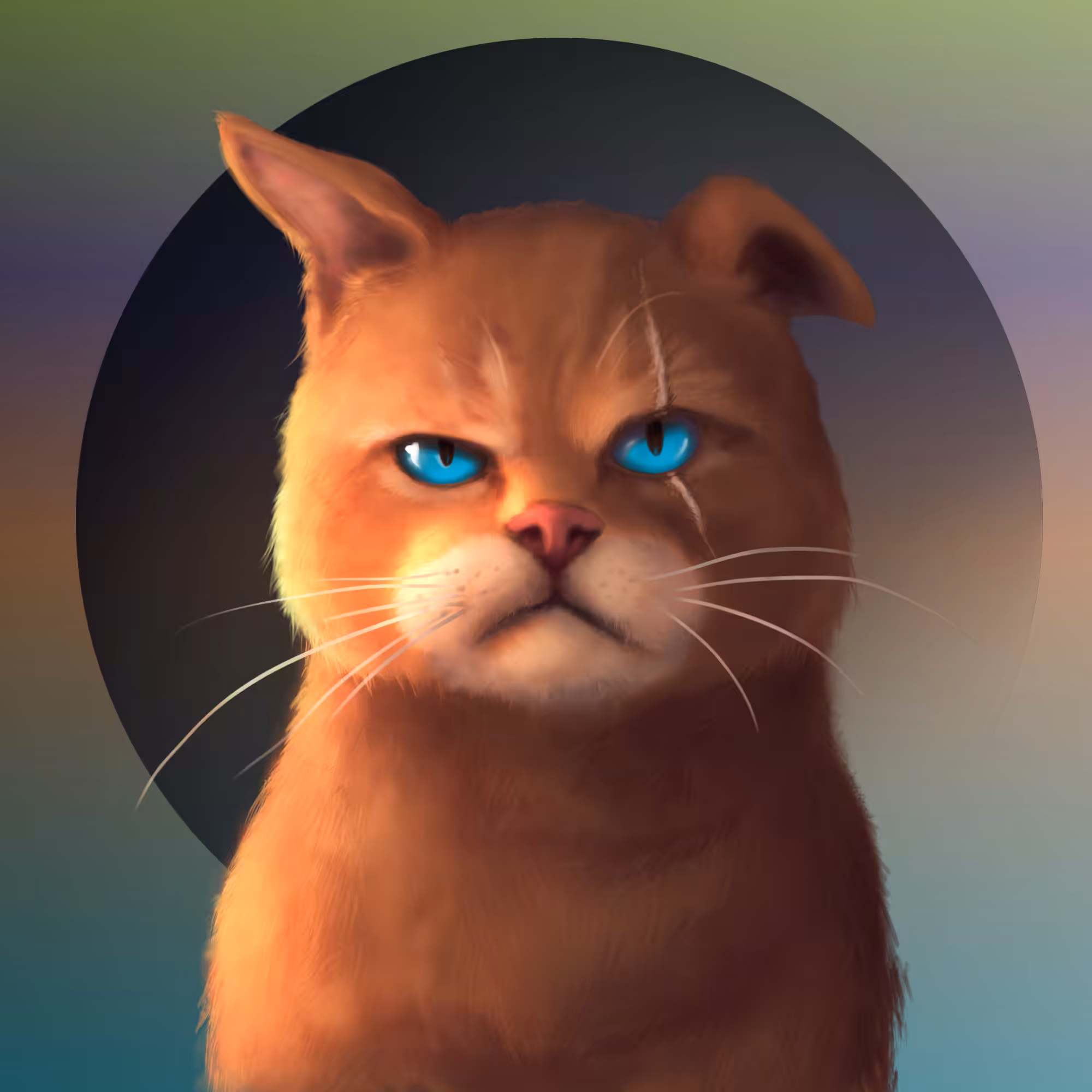 Gangsta Cat #17