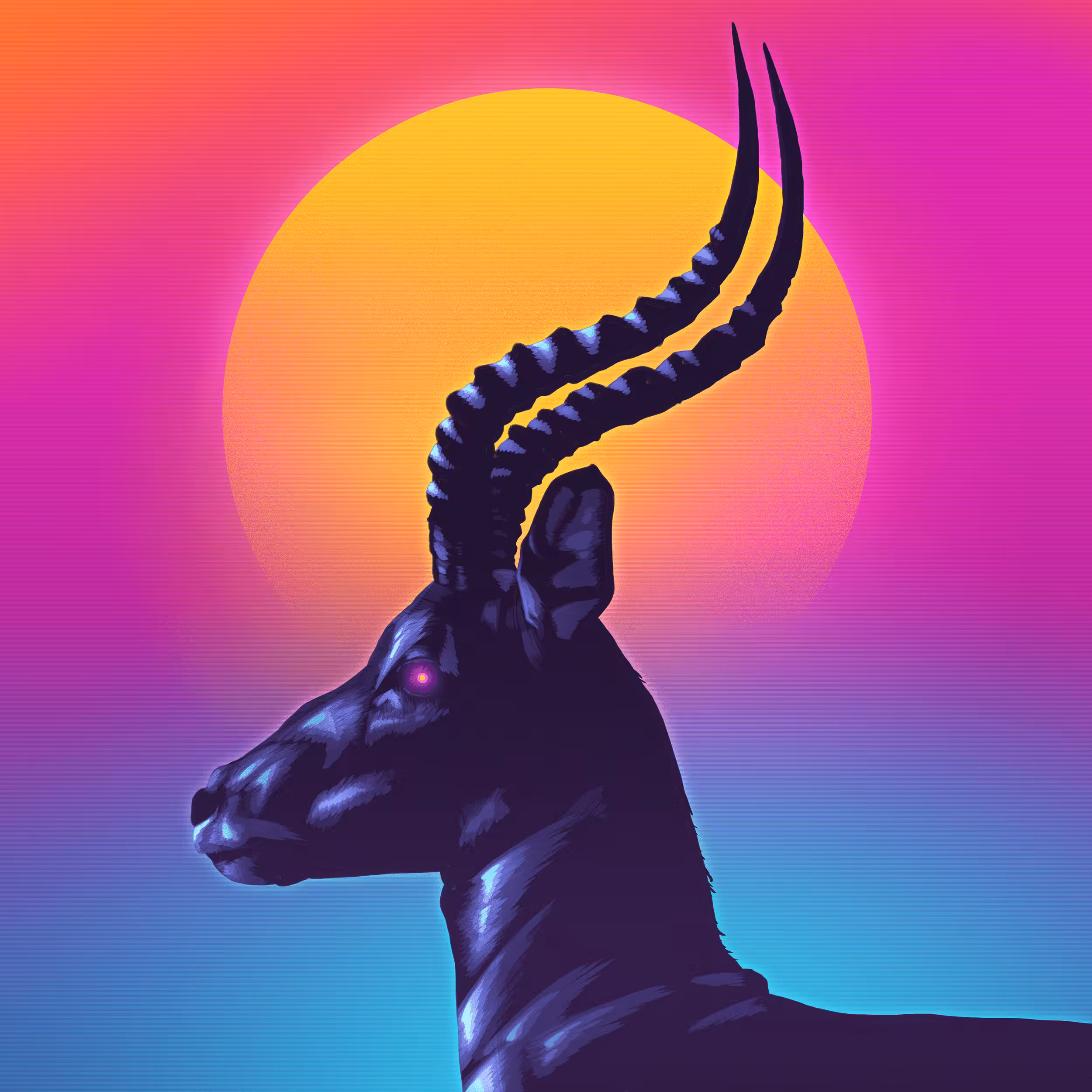 Signalnoise GM #19