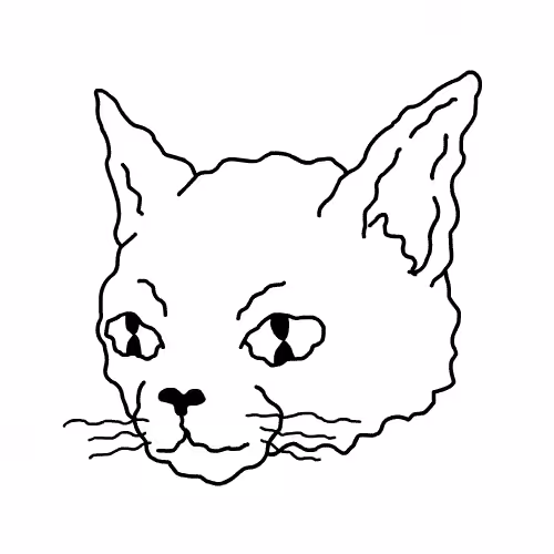 FREE CAT (2016)