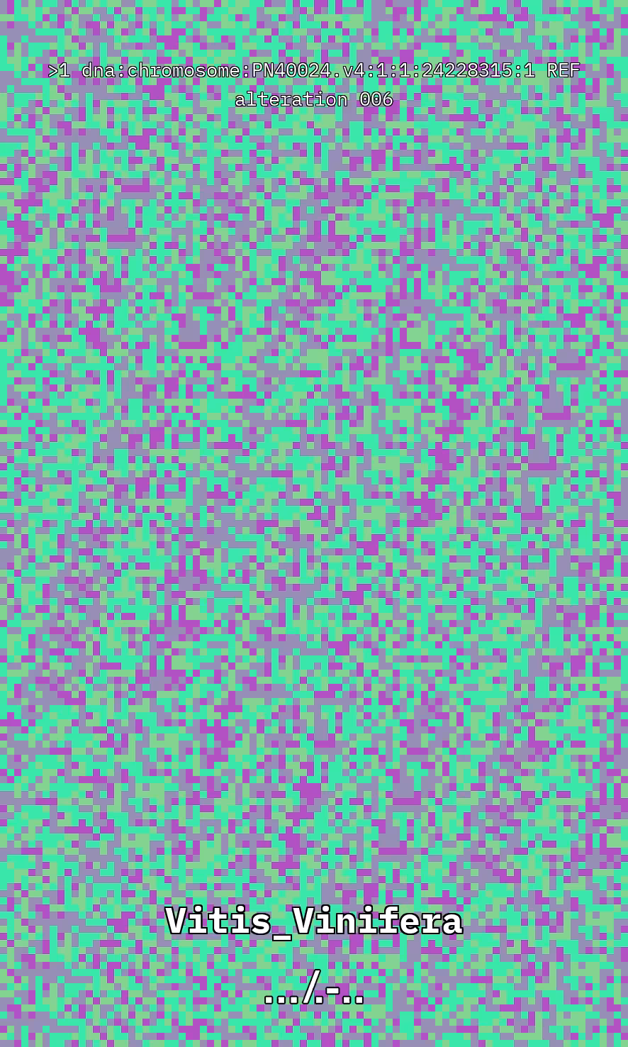 Vitis DNA Alteration #6