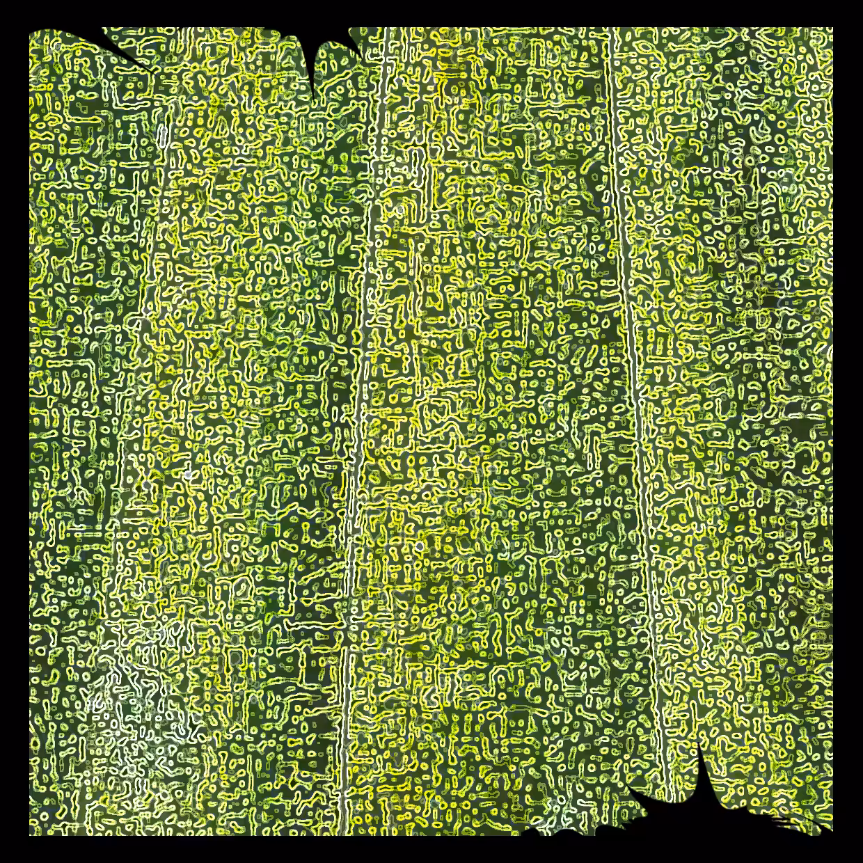 Cell 20