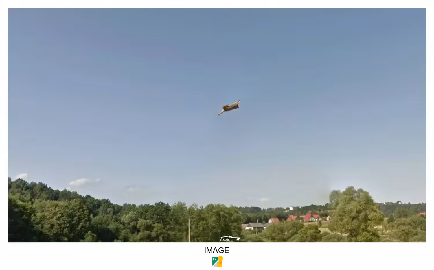 Freedom