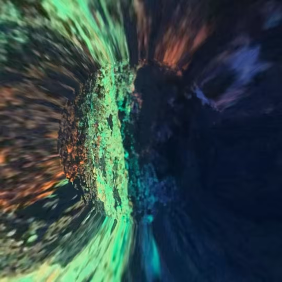 The Earth