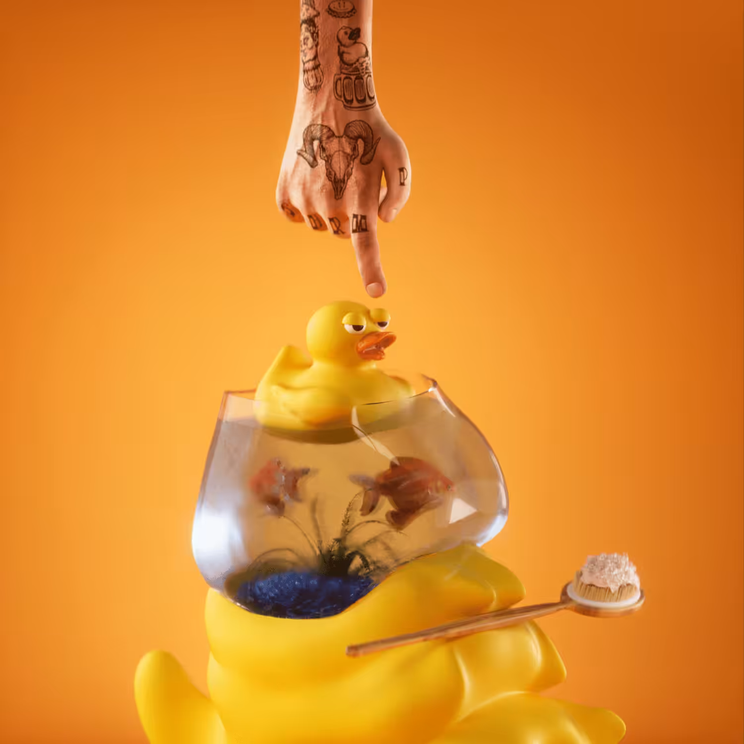 #70 SHRMP Ducky Shrimps