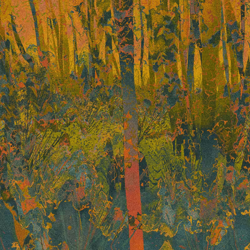 Fever Dream Fairy Fantasy Forest #119