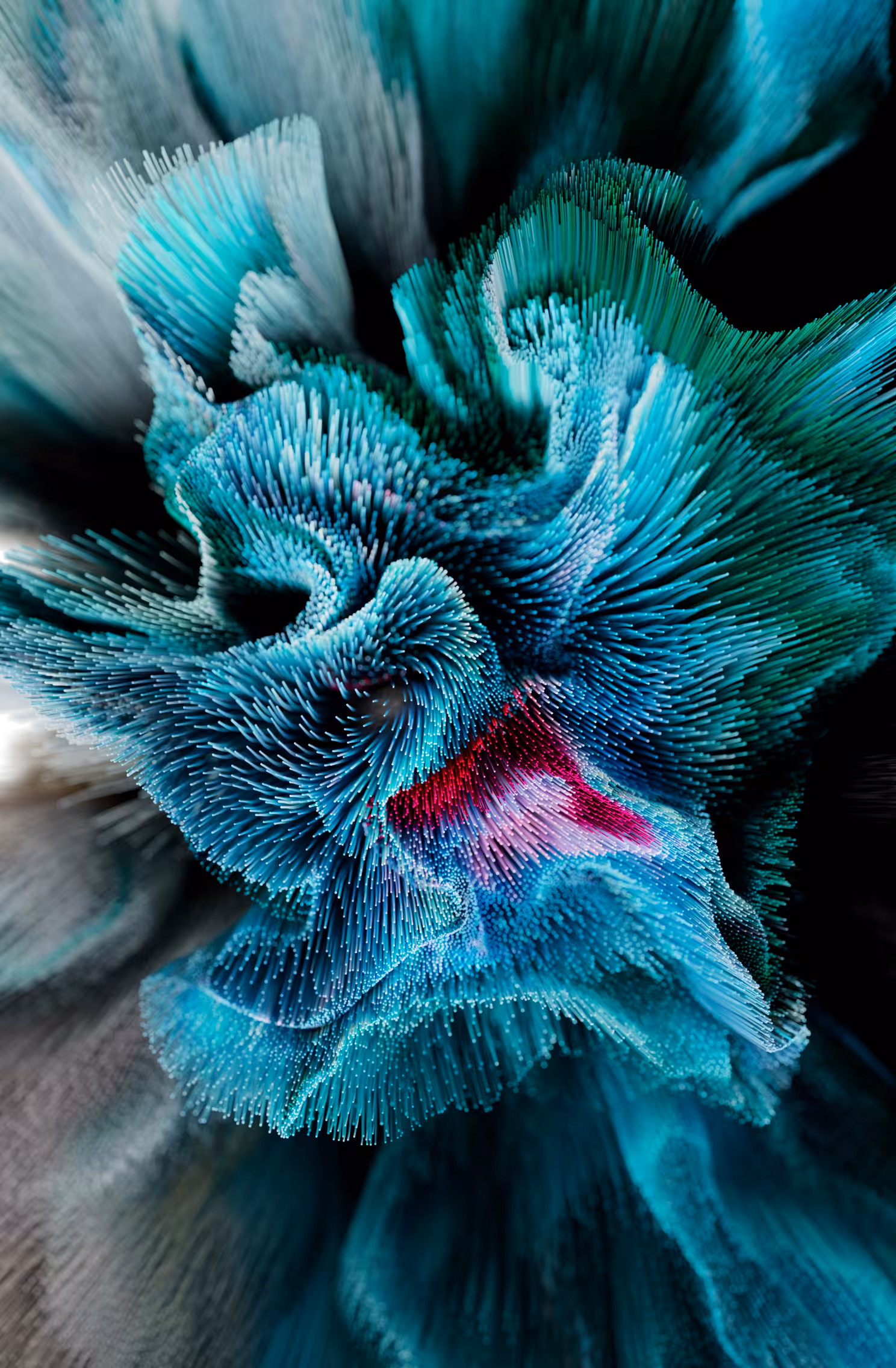 Desert Flower II
