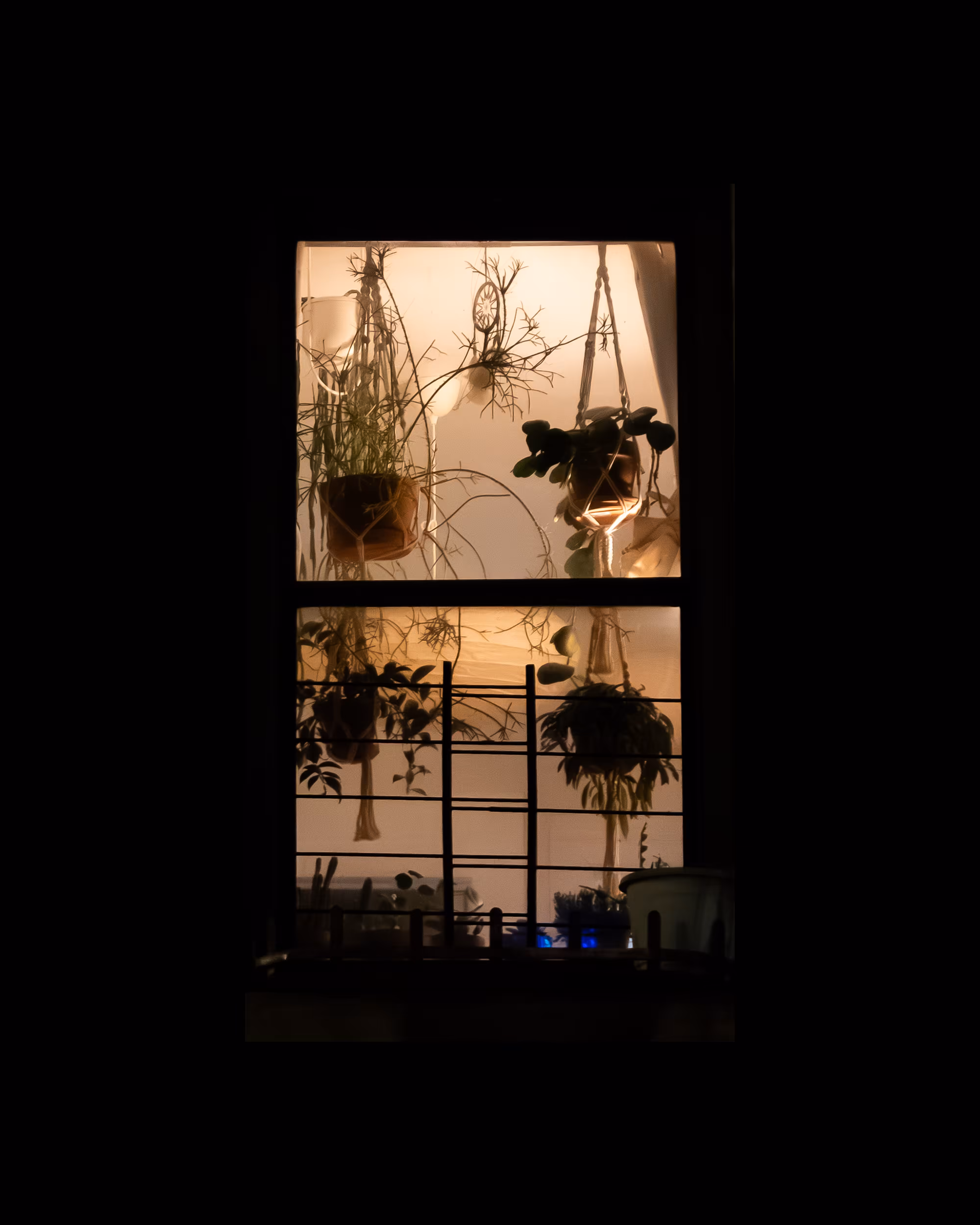 WINDOW 584