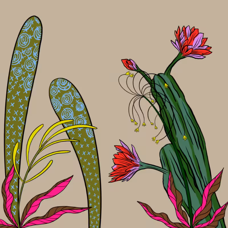 Desert Exuberance #21