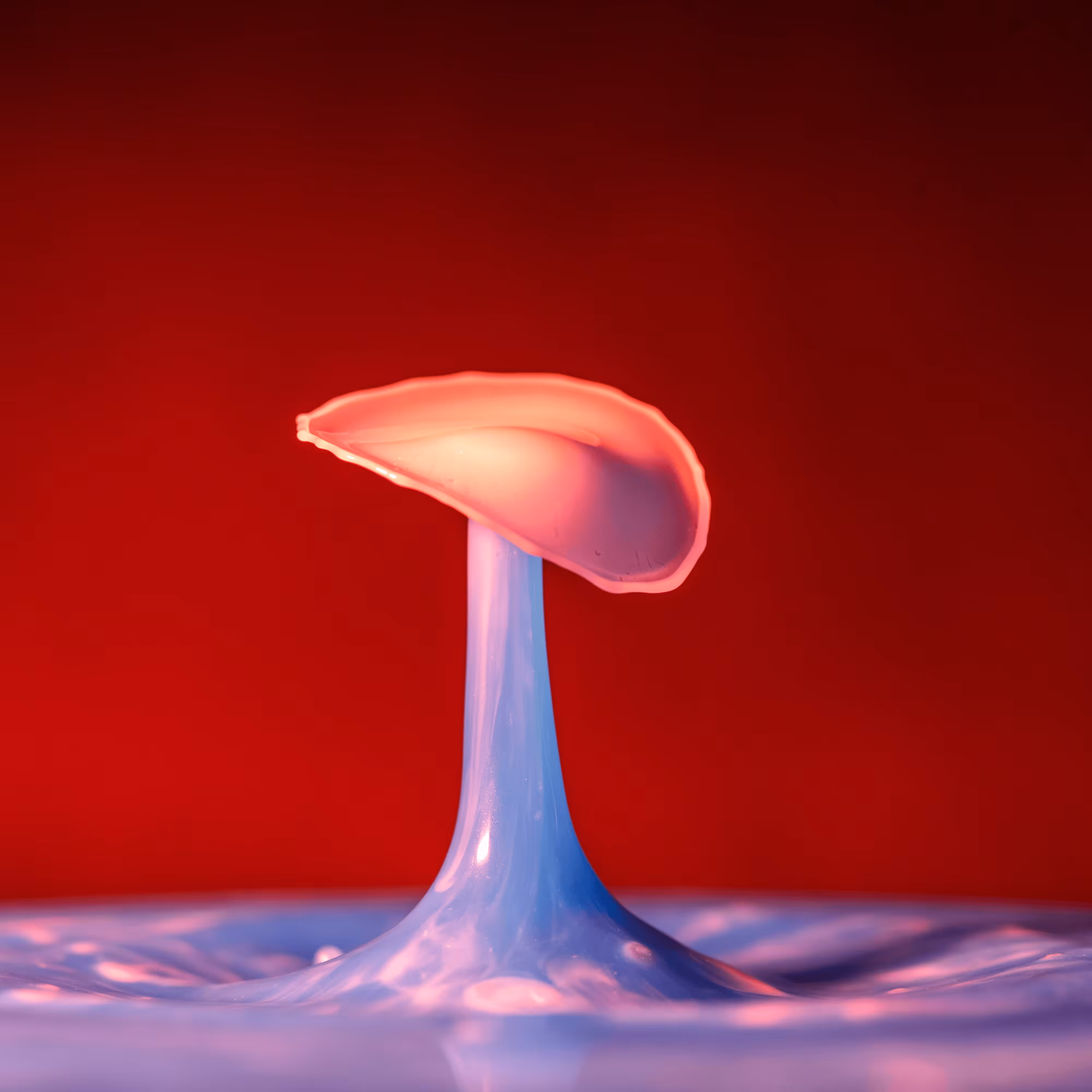 Splash of Colour #16