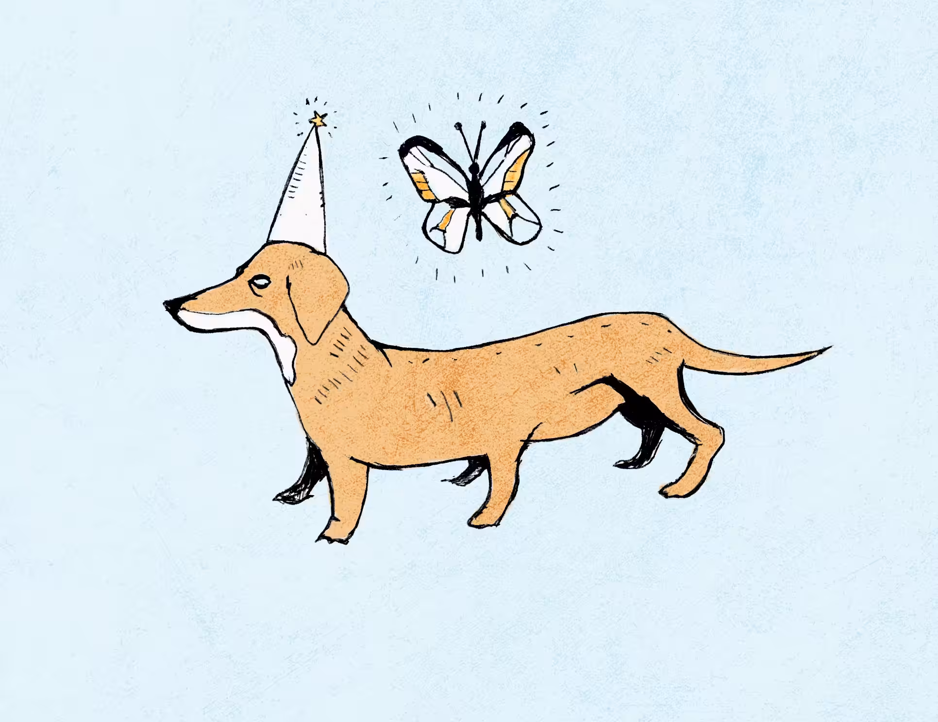six legged birthday doge