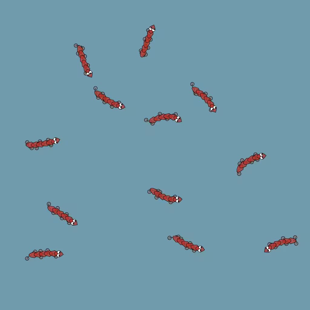 Bug #002
