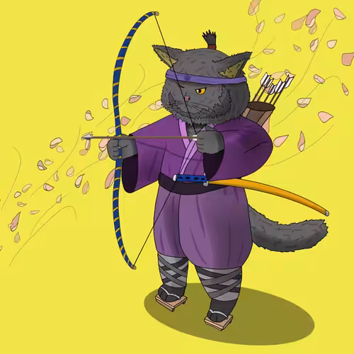 Ronin#11
