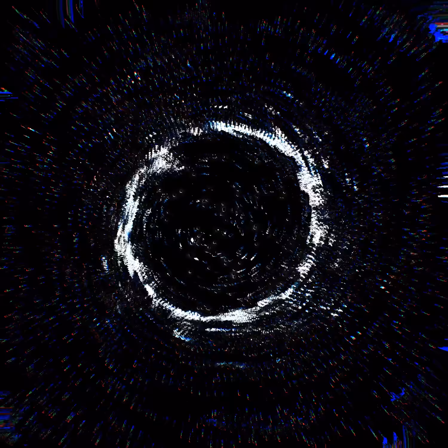 Black Holes