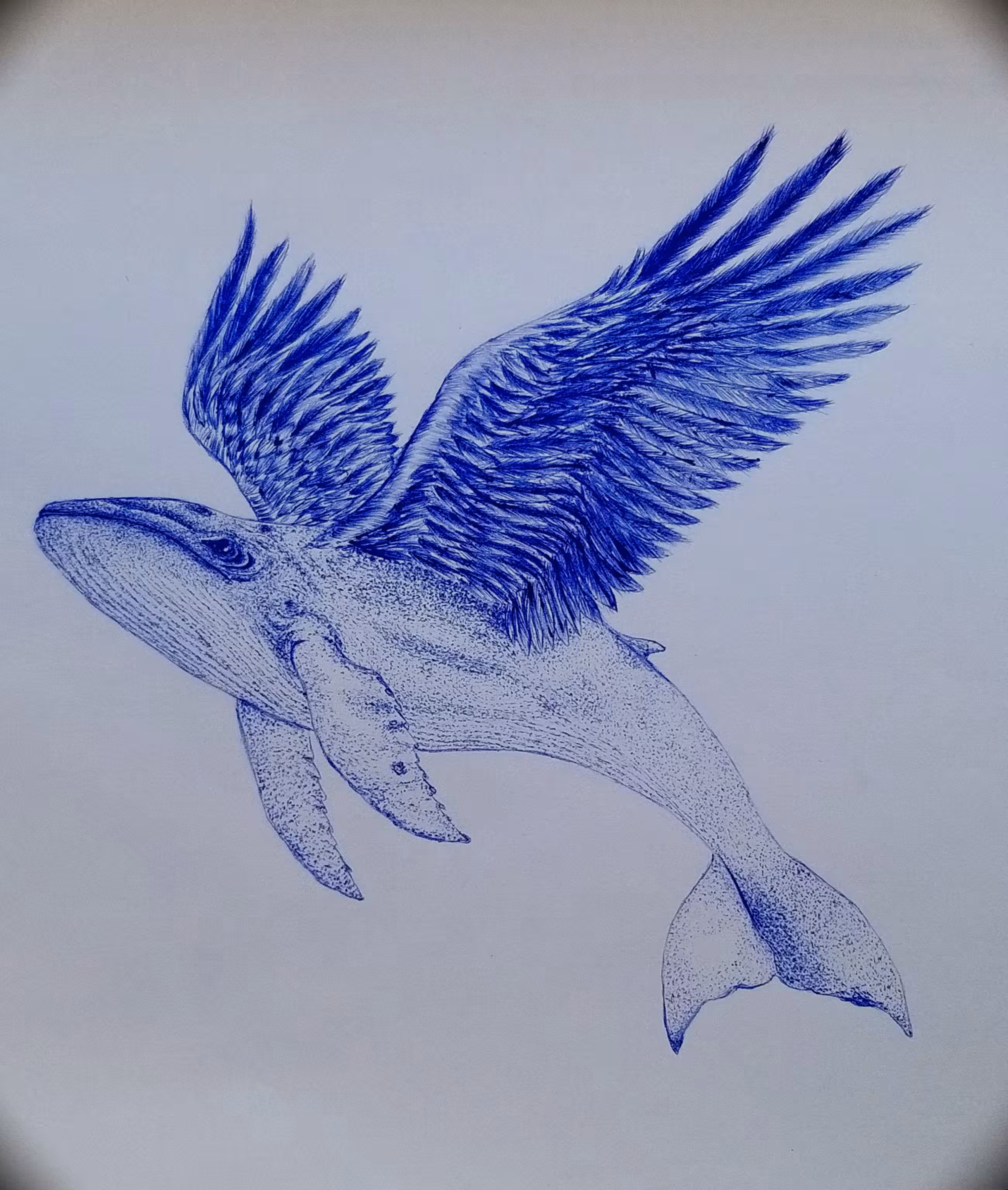 Whale migration
