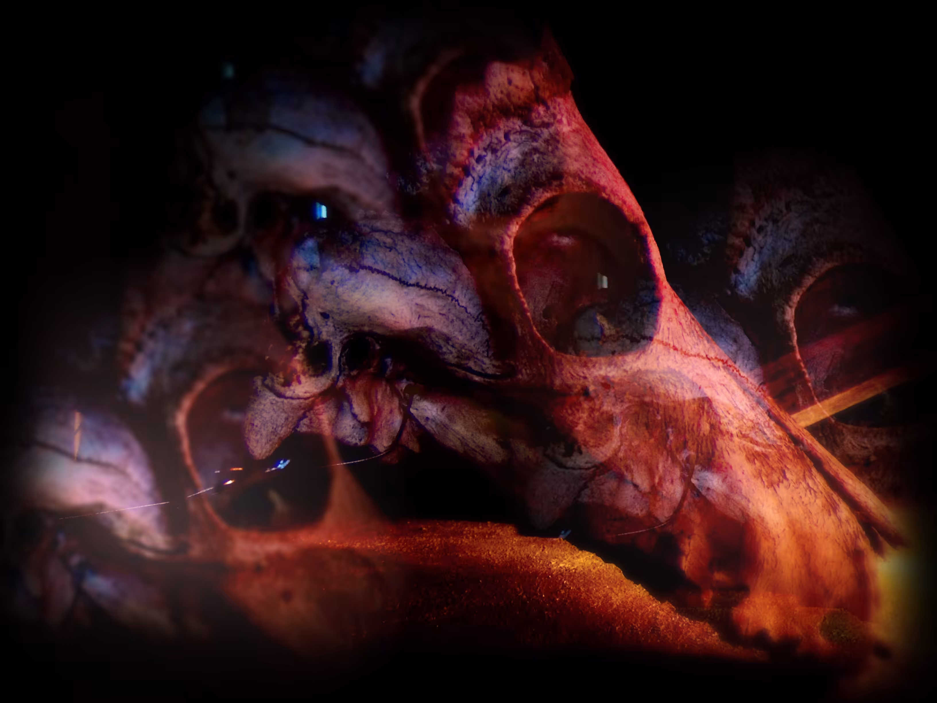 skull