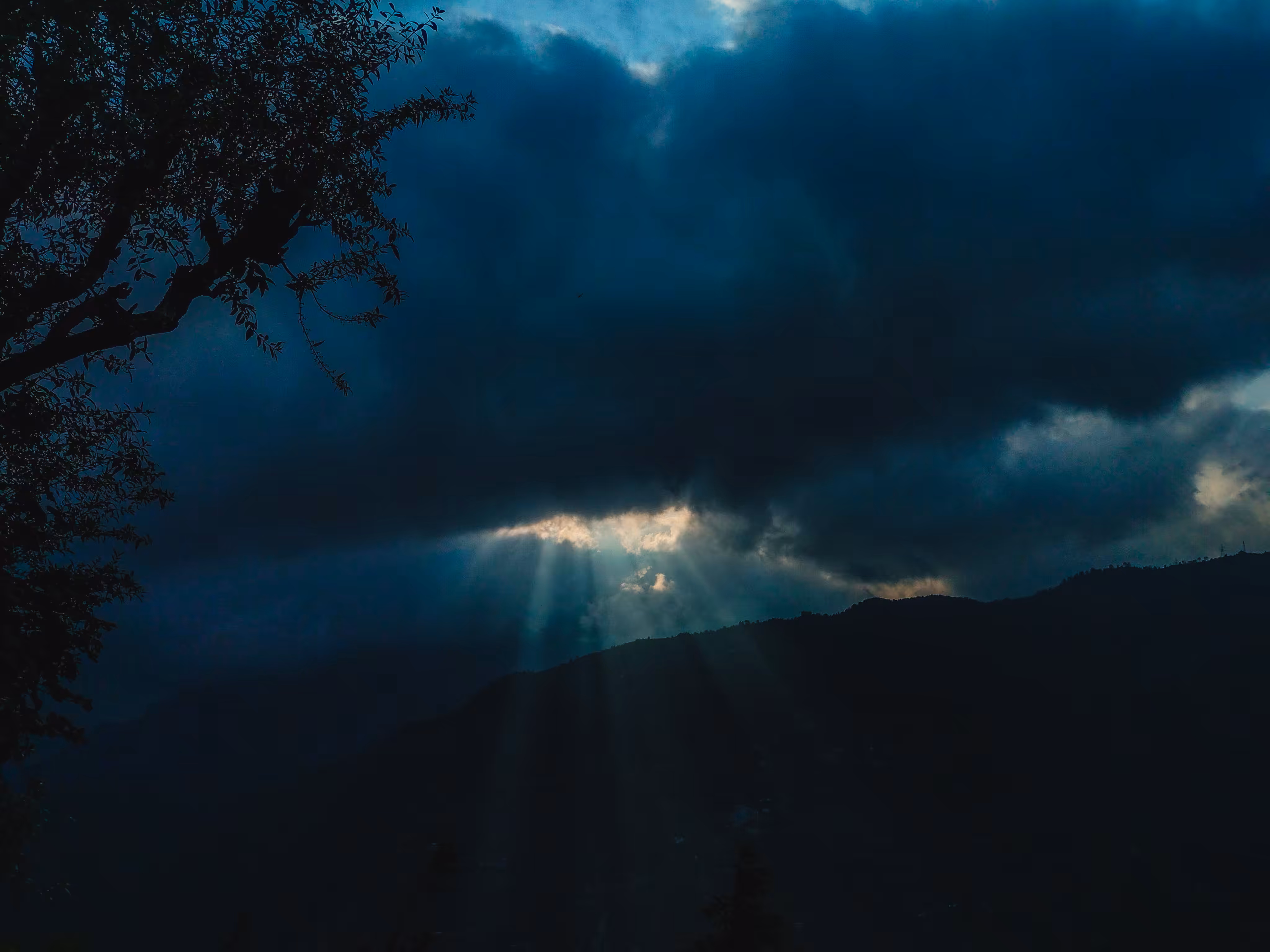 Rays Of Hope