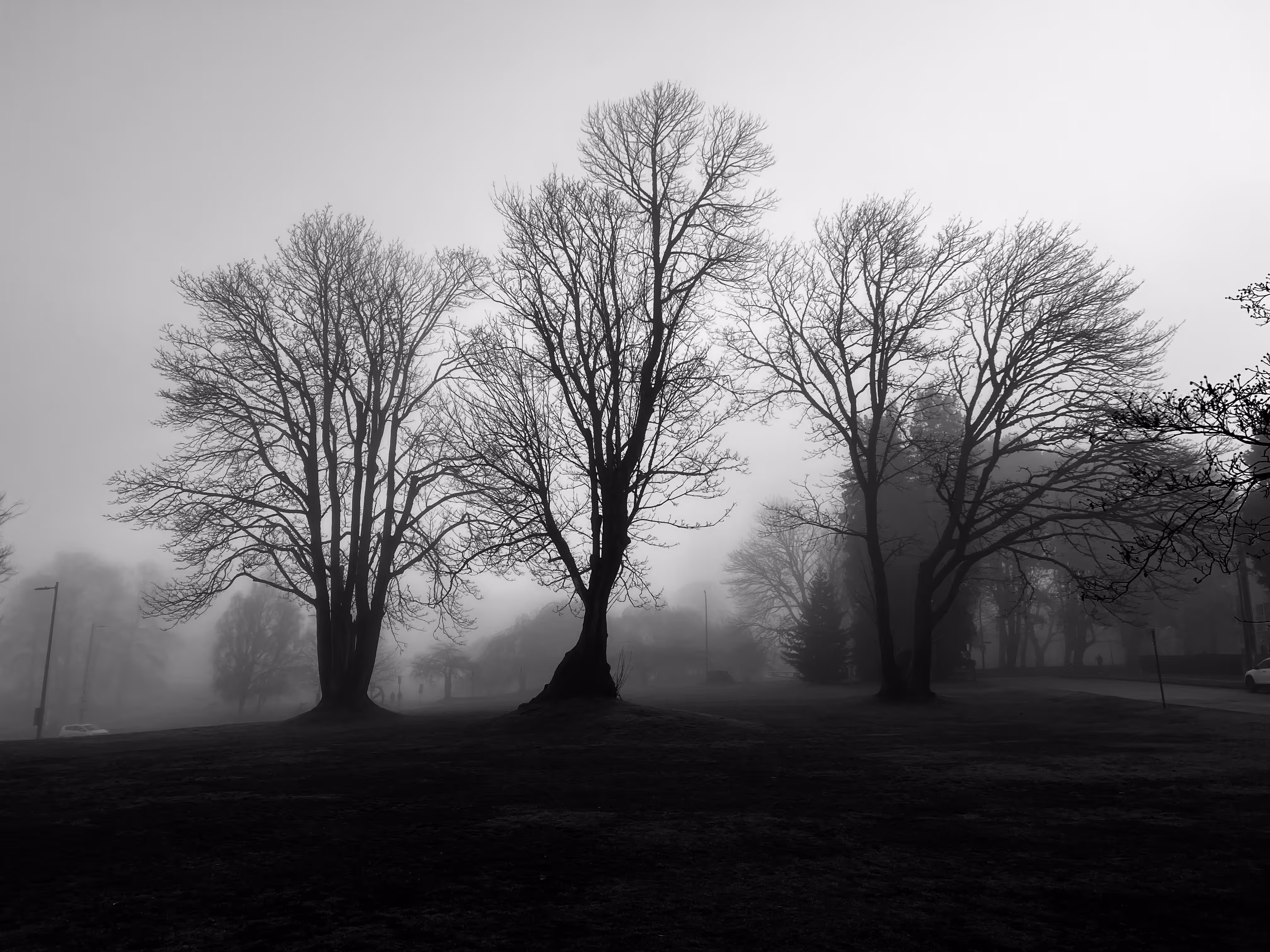 AM Glimpse of the Fairylands