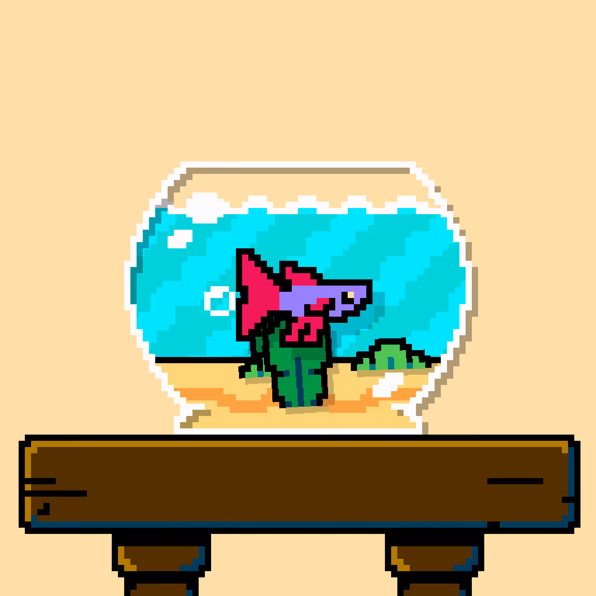 betta fish #163