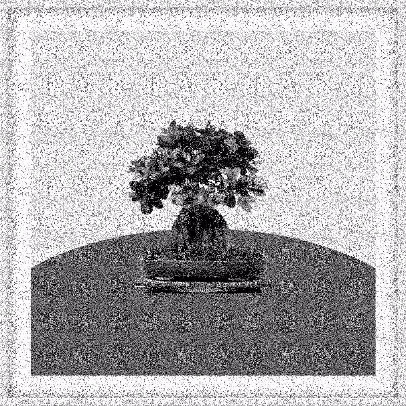 Bonsai Bonanza #806