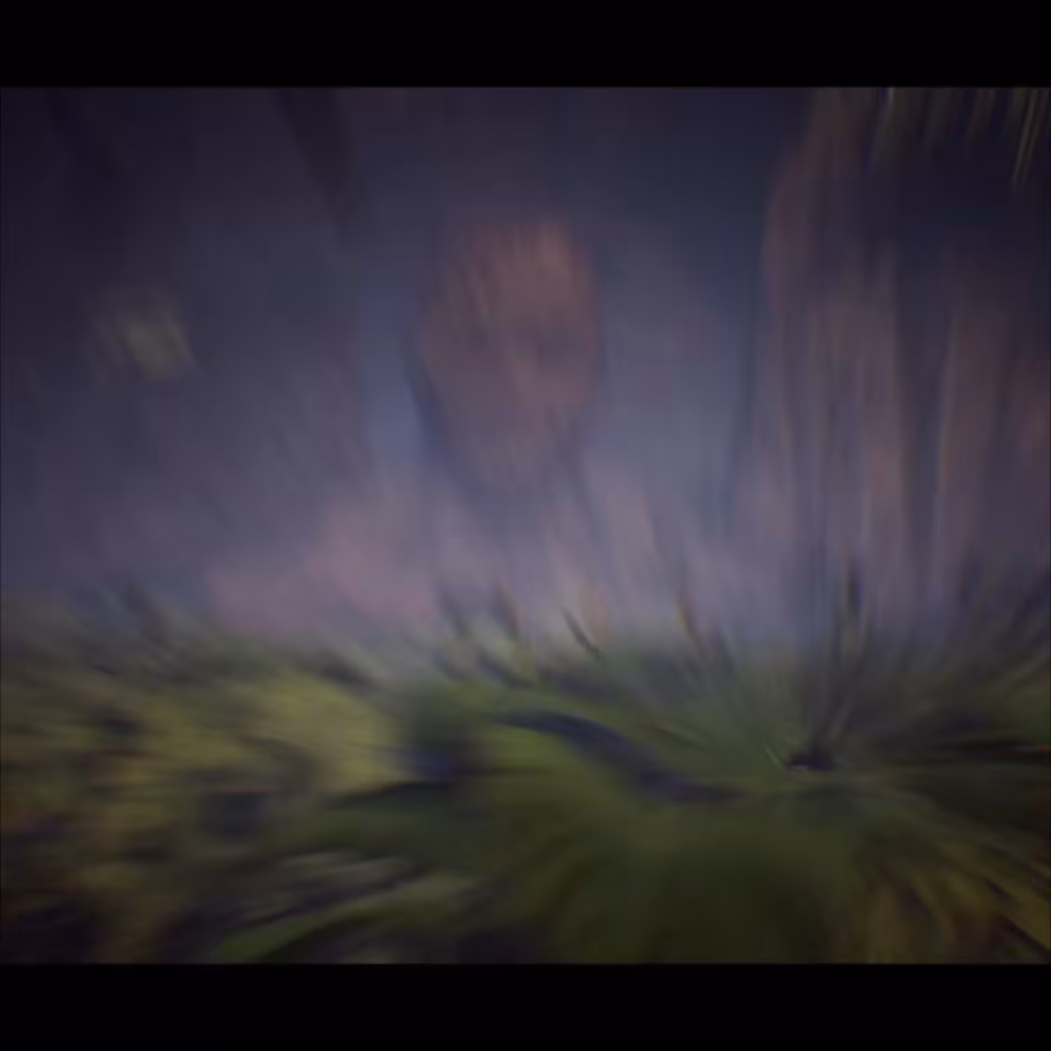 Land of twilight