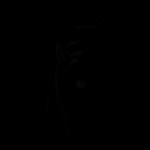 Black cat 2