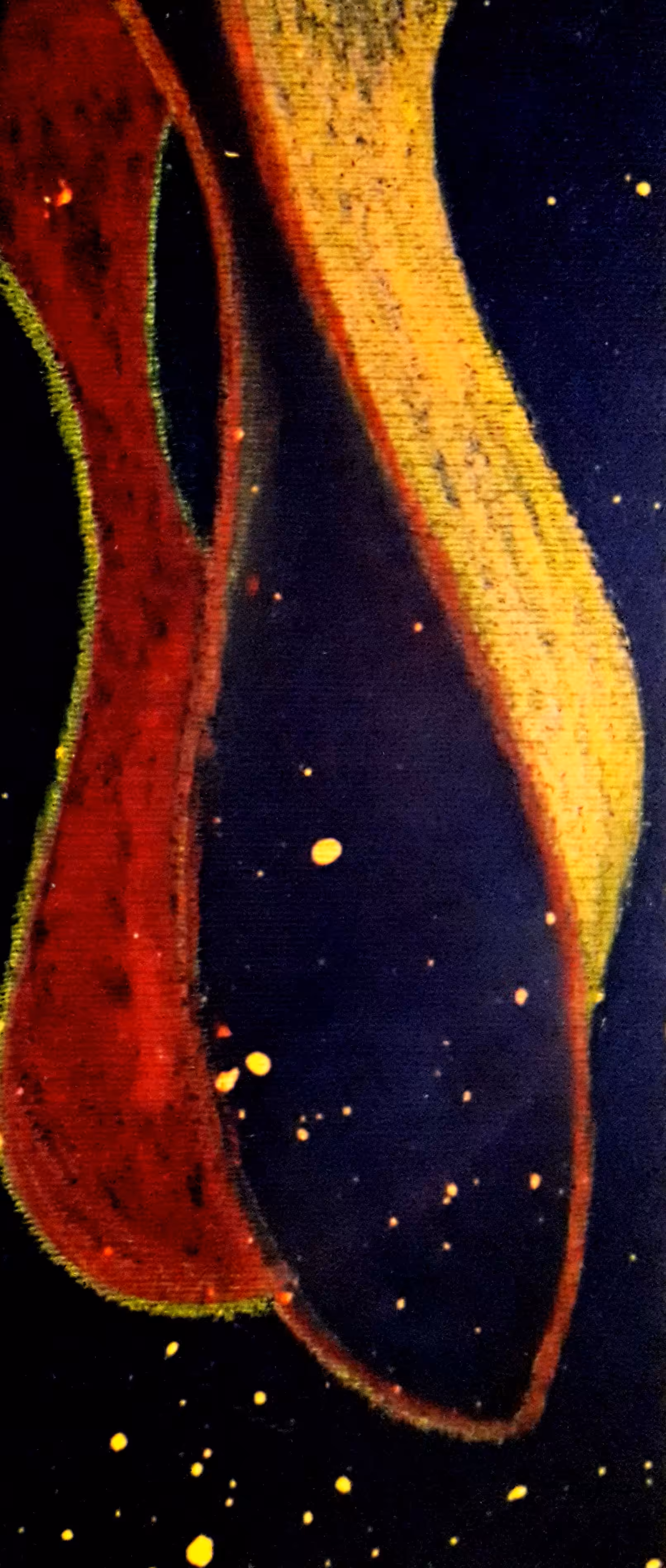 the night