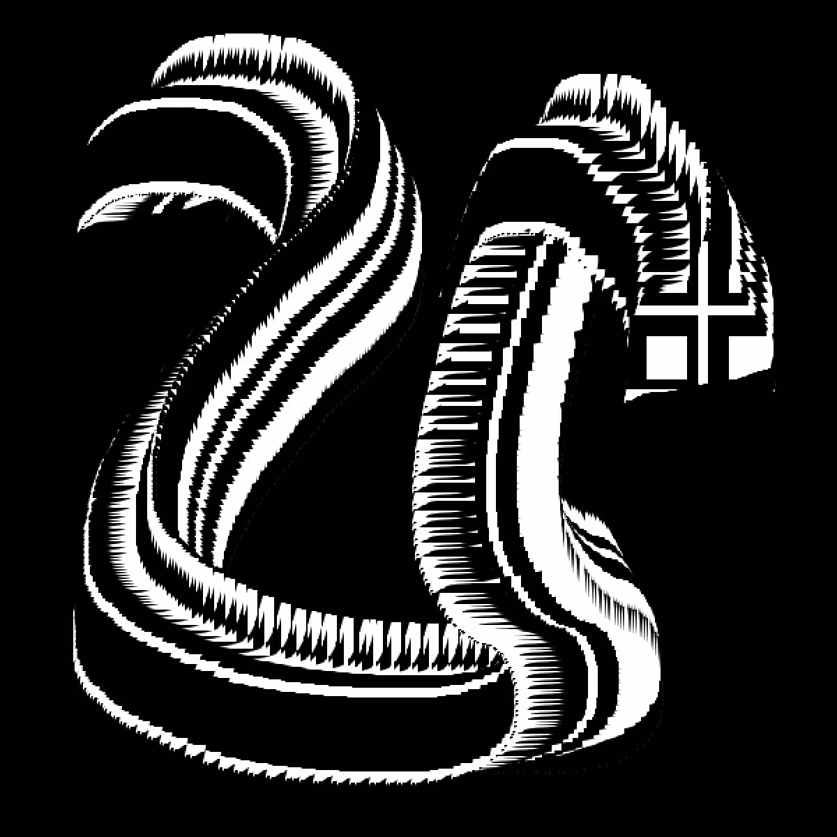 BIT SQUIG 15