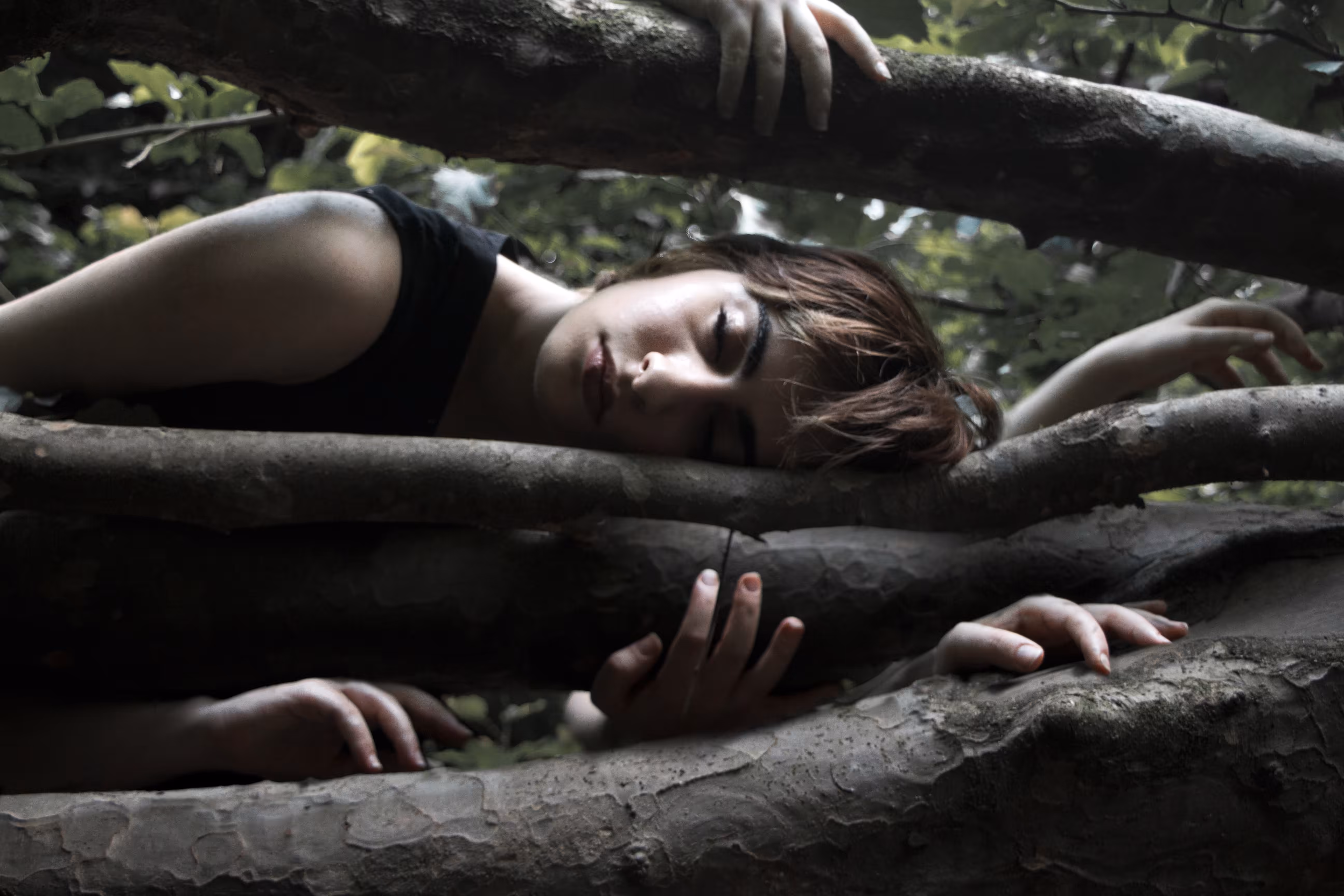 dream of nature