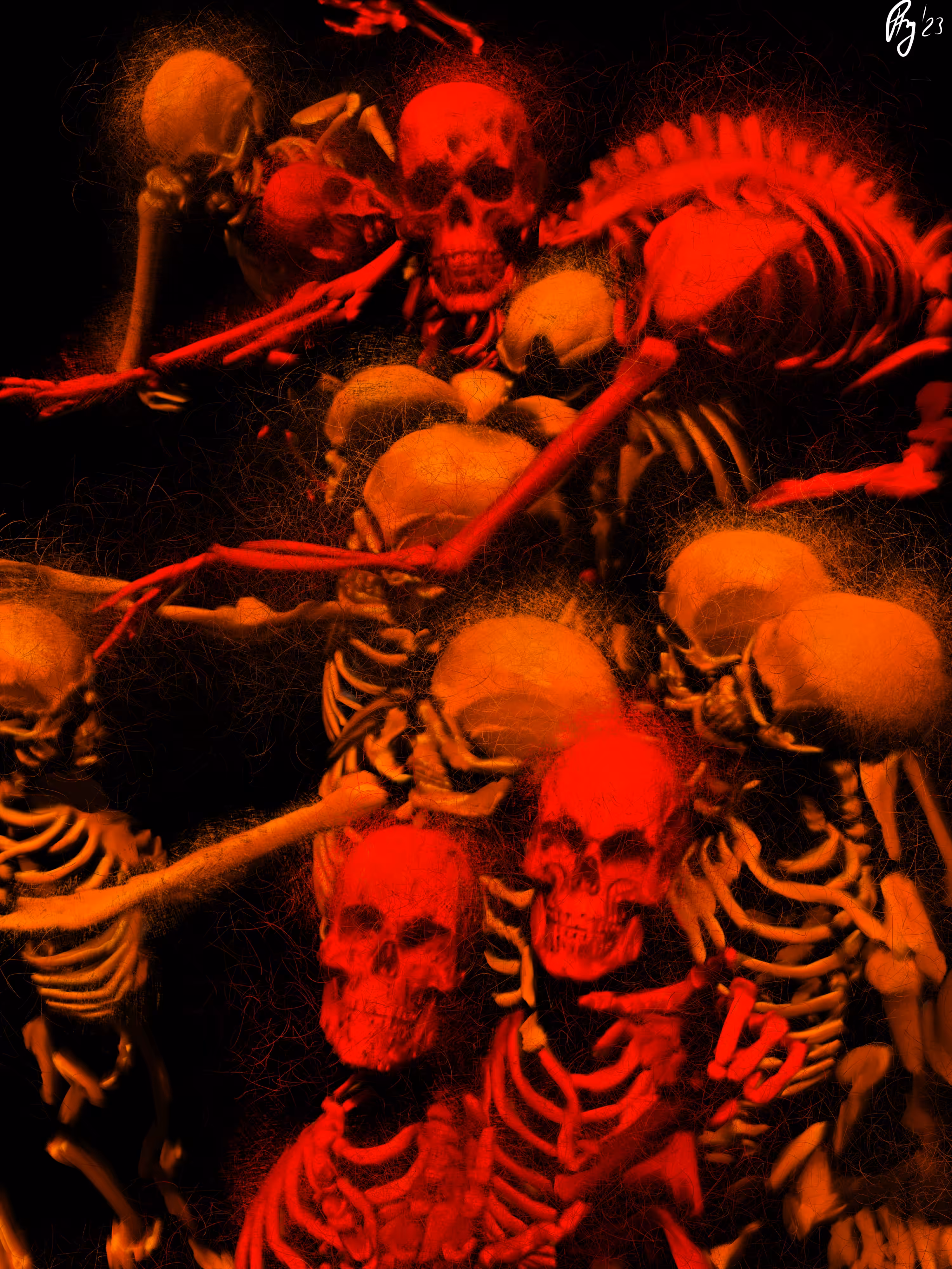 Collector's council