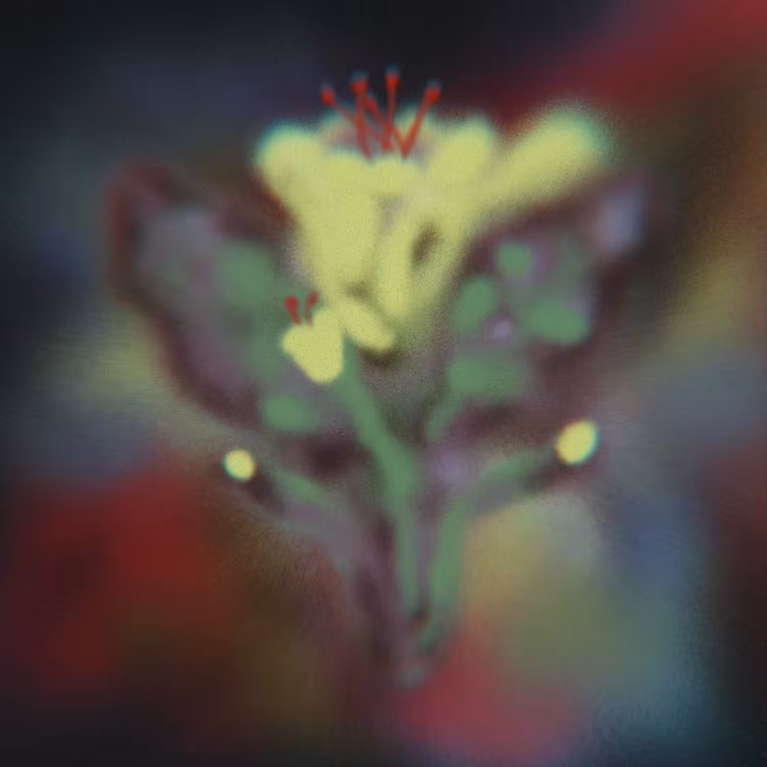 botanic resonance .mp4