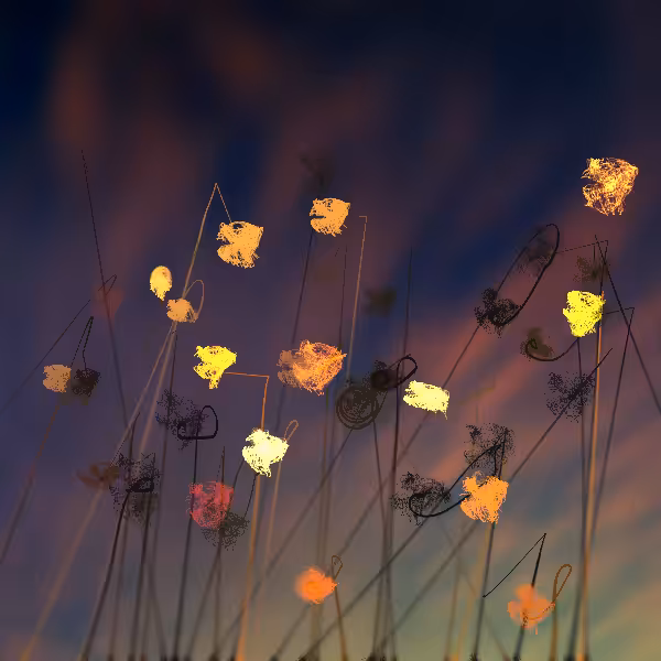 Cottongrass #13