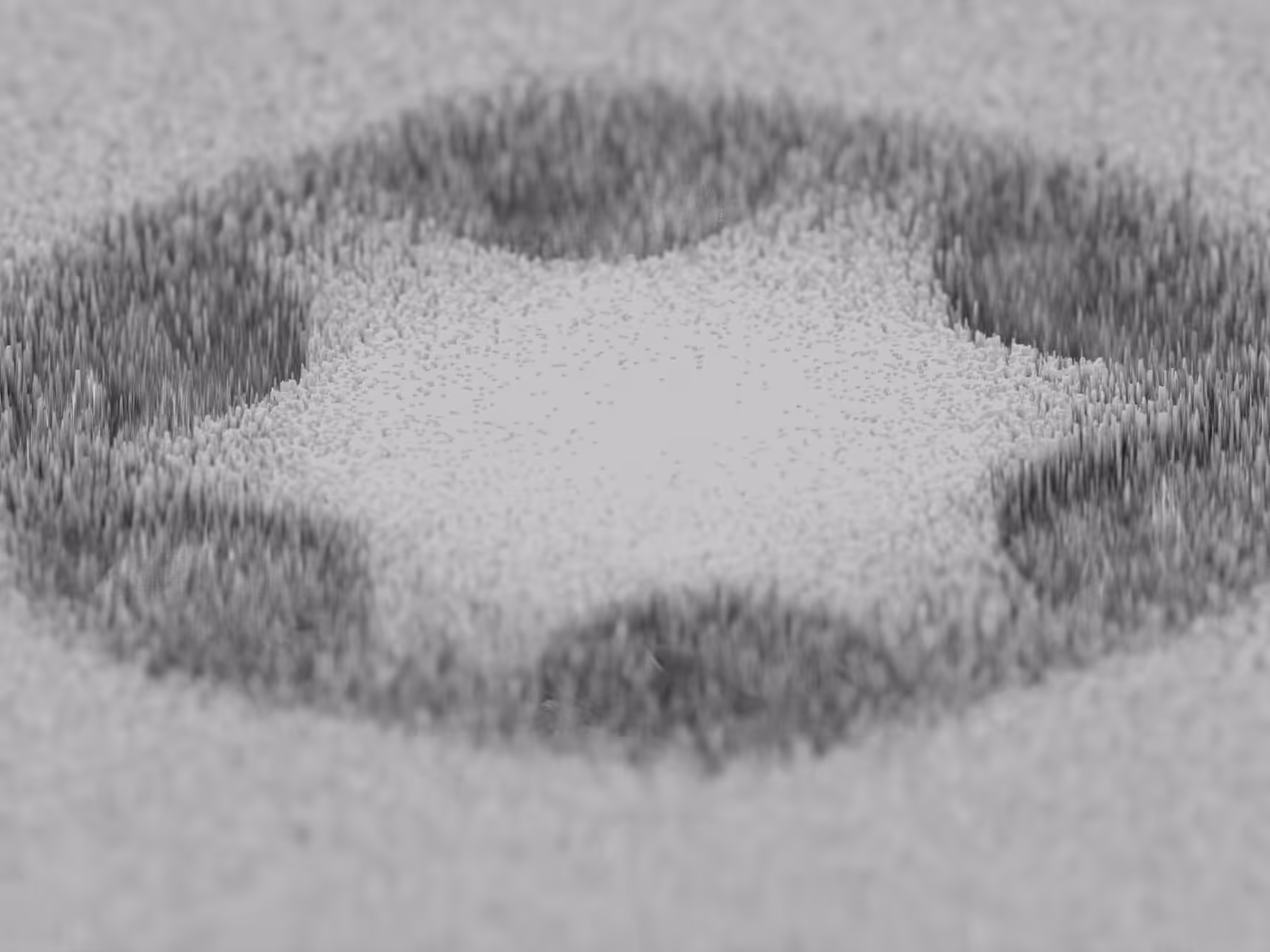 PHYSARUM LANDSCAPE #7