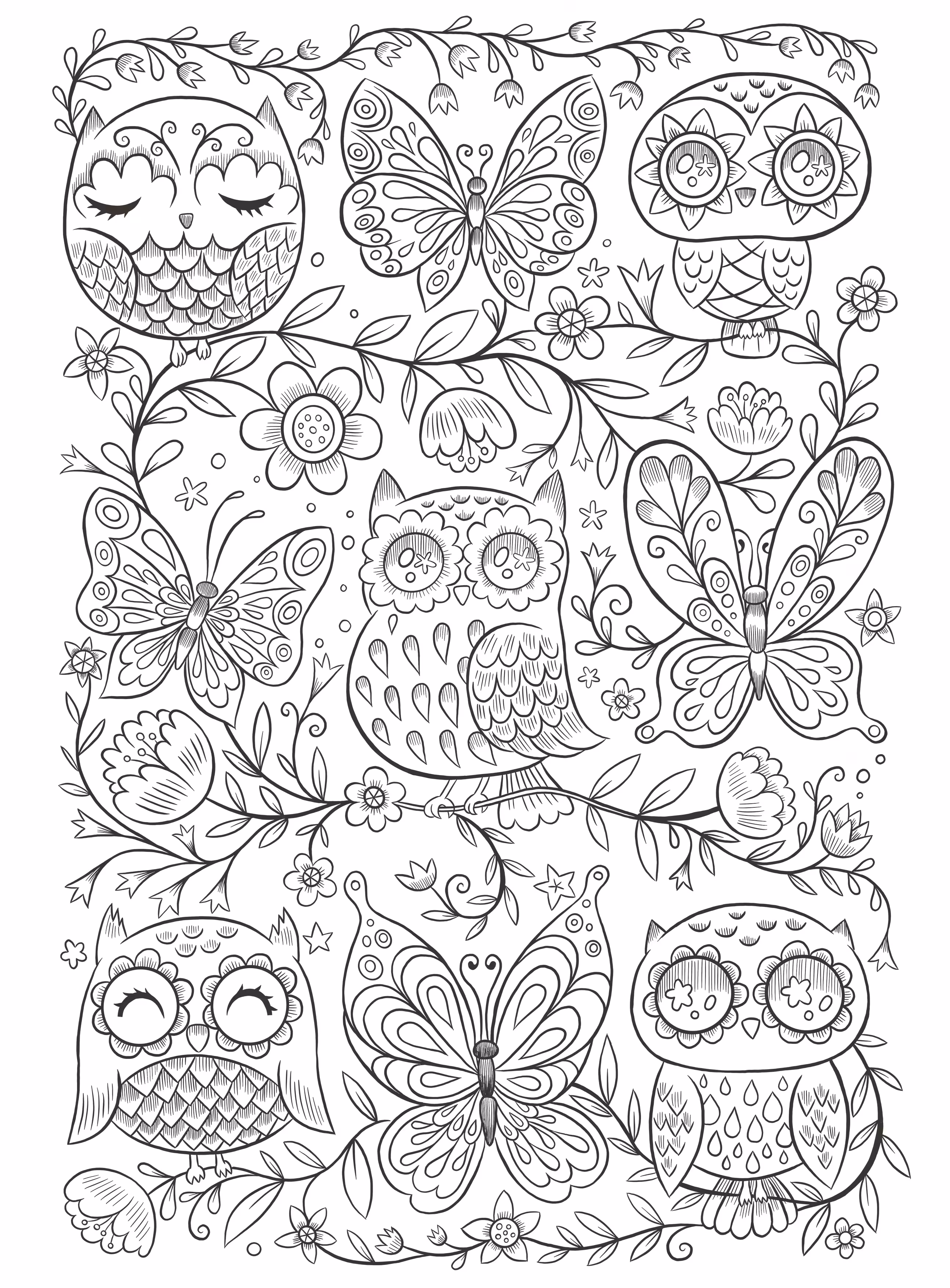 Owls and Butterflies