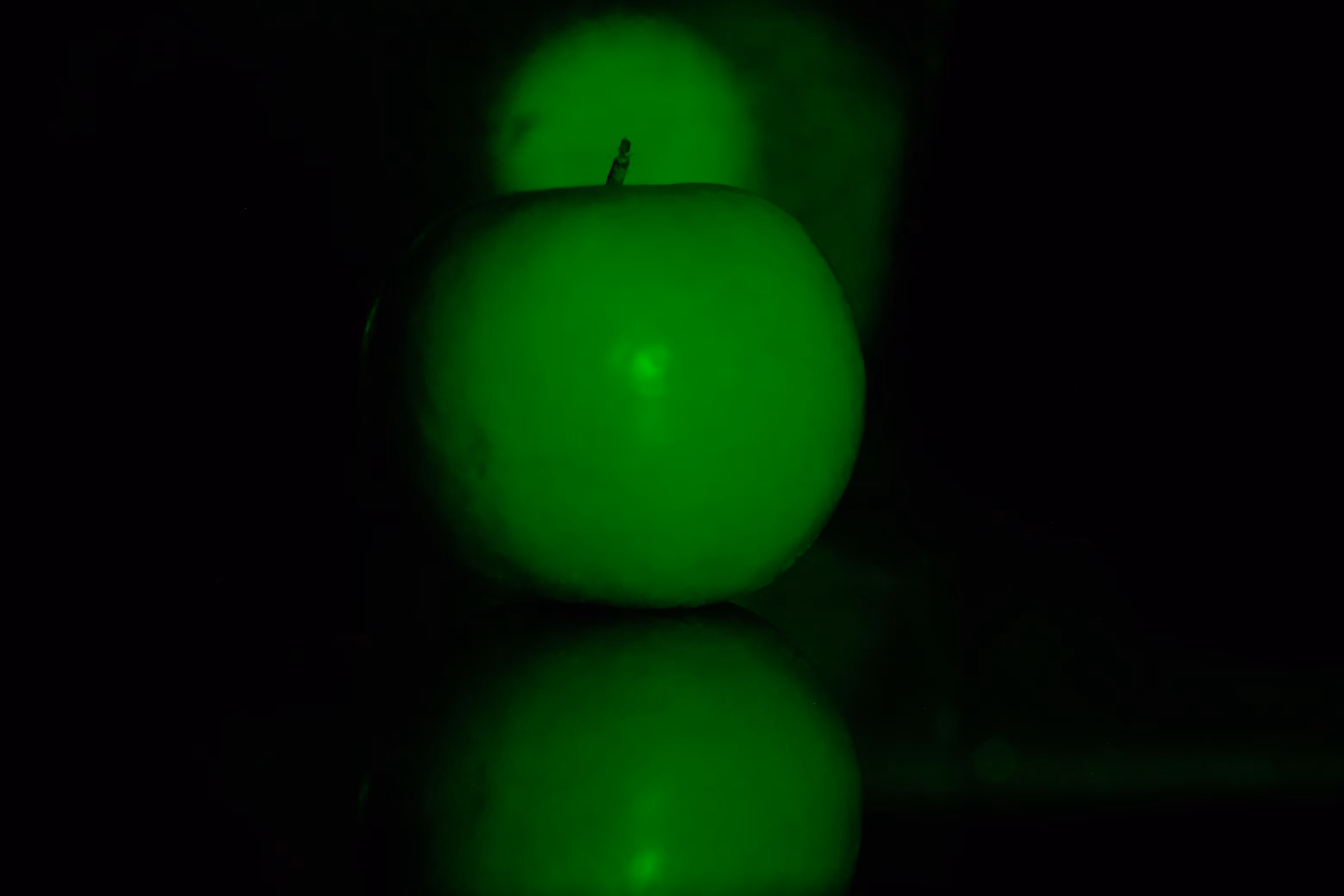 Photographer's DNA - #12