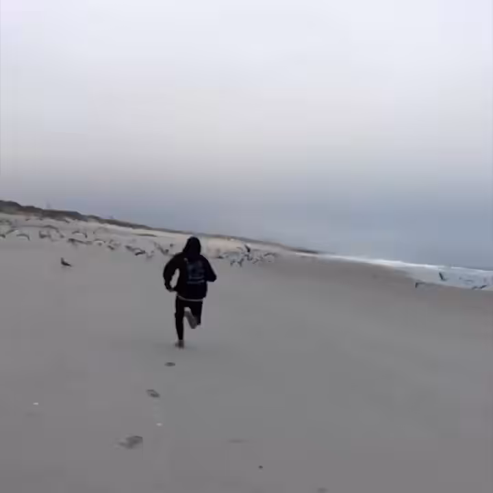 Crash Catch Step