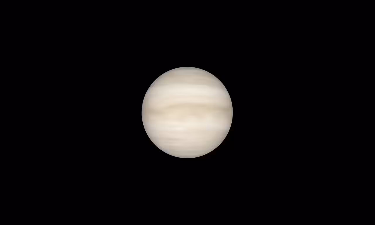 Venus