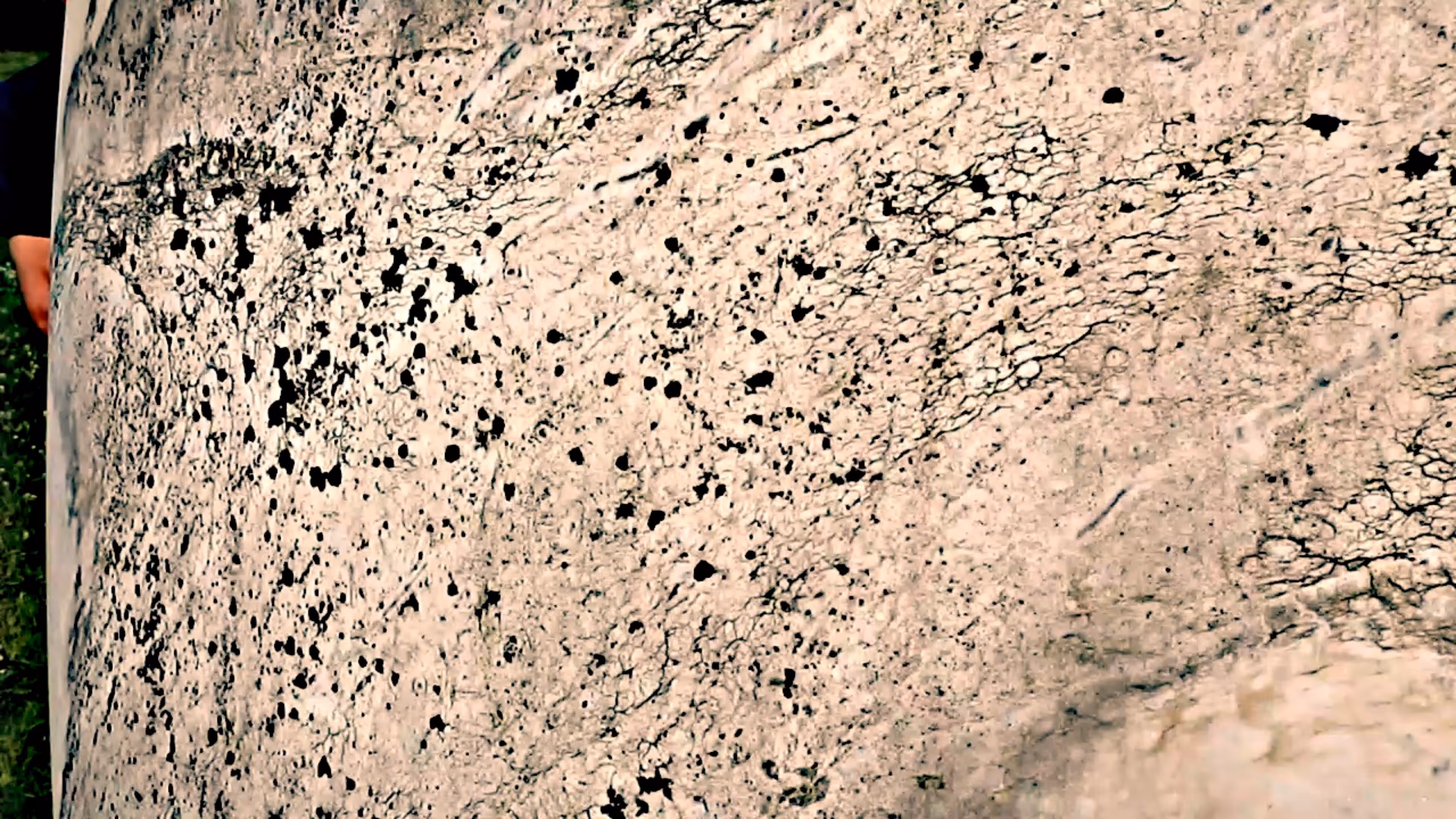 vc teganuma 079