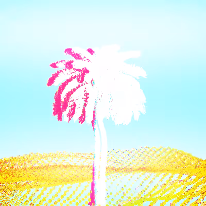 🌴0asis🌴 #126