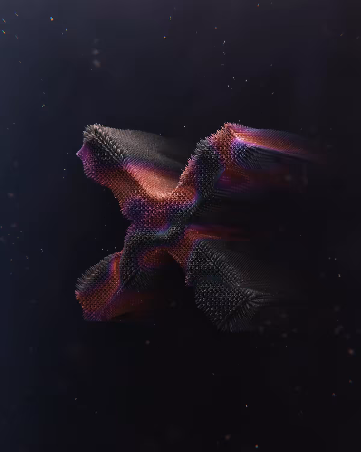 [X]14