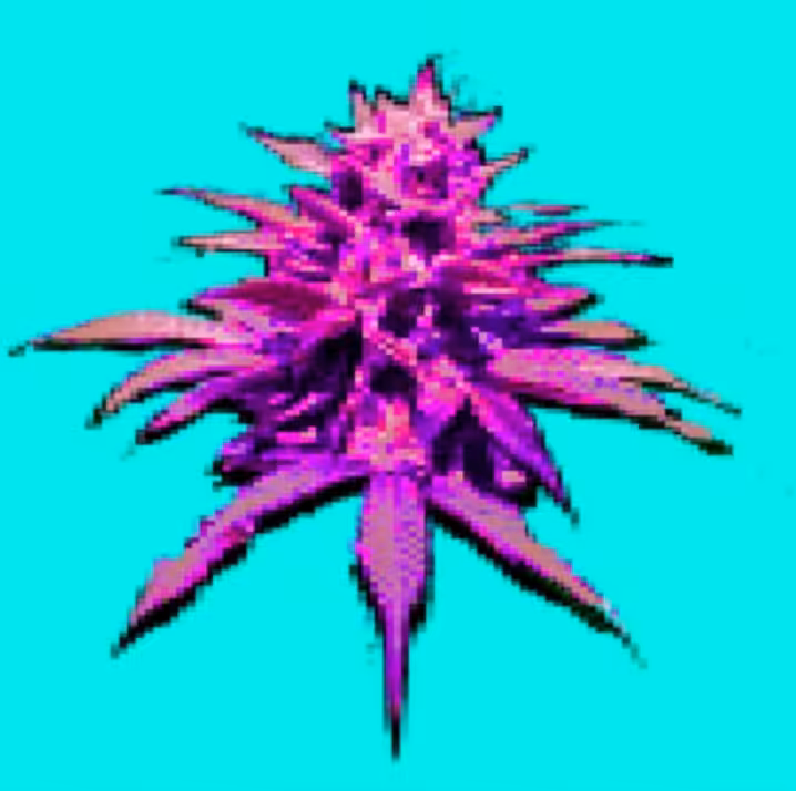 Drift PinkSKUNK-027