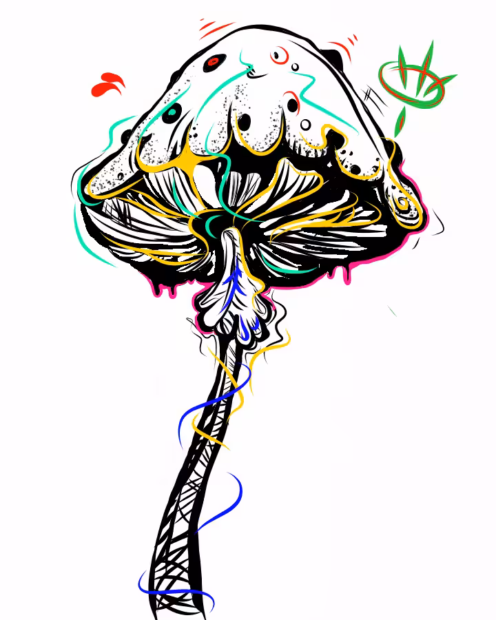 "Lucid drams" (Bon Voyage!)