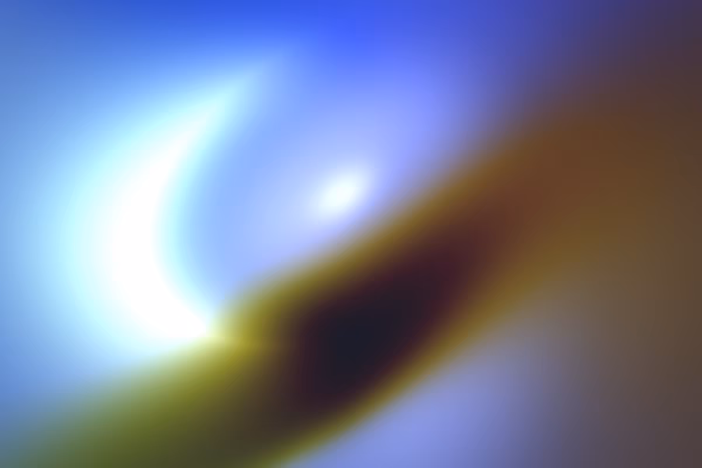 Flux #446
