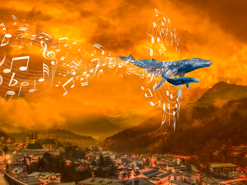 Whale Music in the Mountain