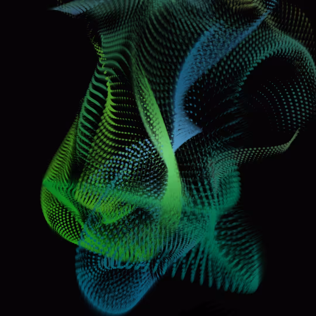 Circles and Noise 1